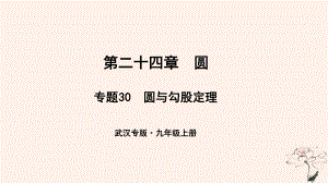 （武漢專）九年級(jí)數(shù)學(xué)上冊(cè) 第二十四章 圓 專題30 圓與勾股定理課件 （新）新人教