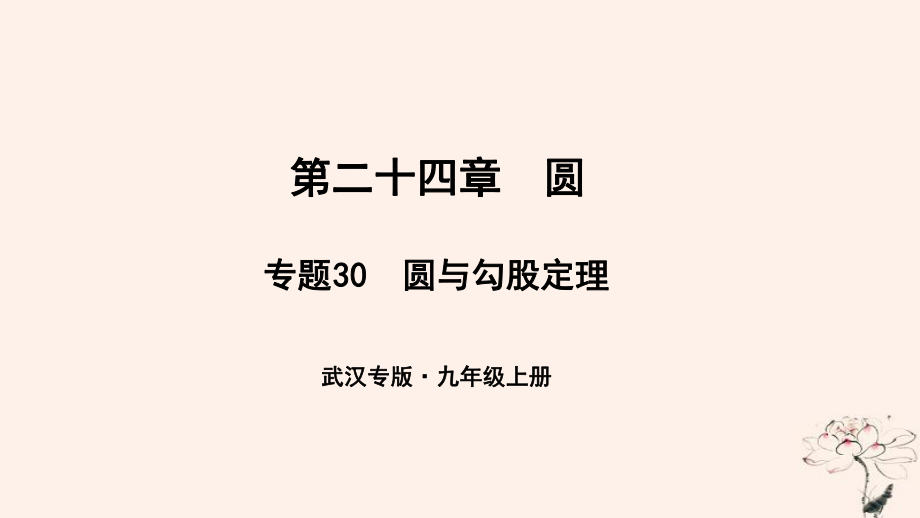 （武漢專）九年級數學上冊 第二十四章 圓 專題30 圓與勾股定理課件 （新）新人教_第1頁