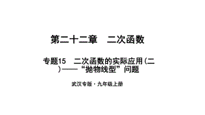 （武漢專）九年級數(shù)學上冊 第二十二章 二次函數(shù) 專題15 二次函數(shù)的實際應用（二）—“拋物線型”問題課件 （新）新人教