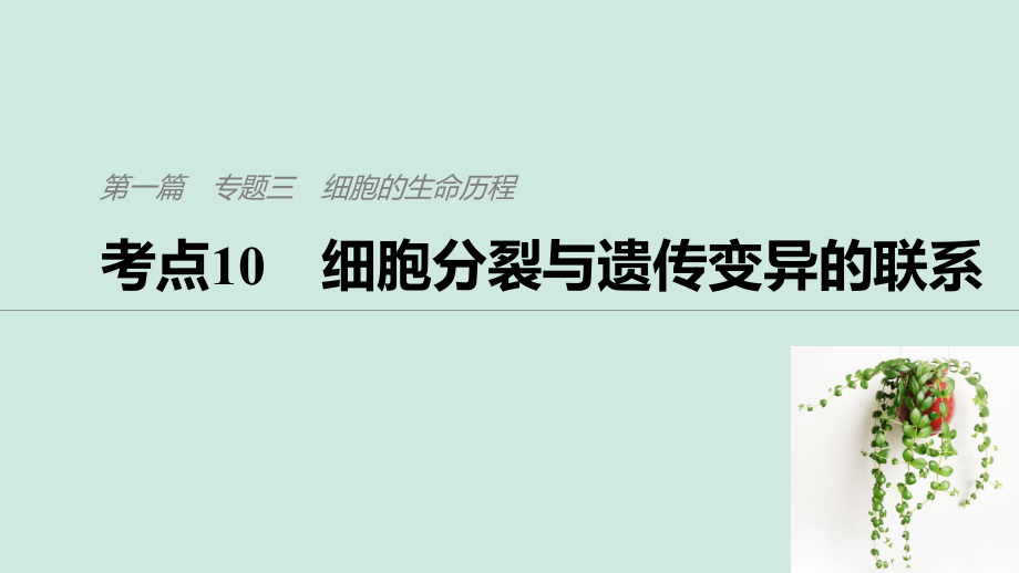 （通用）高考生物二輪復(fù)習(xí) 專題三 細(xì)胞的生命歷程 考點(diǎn)10 細(xì)胞分裂與遺傳變異的聯(lián)系課件_第1頁