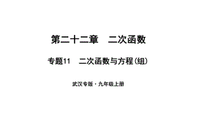 （武漢專）九年級(jí)數(shù)學(xué)上冊(cè) 第二十二章 二次函數(shù) 專題11 二次函數(shù)與方程（組）課件 （新）新人教