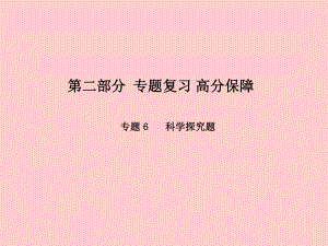 （濰坊專）中考化學(xué)總復(fù)習(xí) 專題6 科學(xué)探究題課件 新人教