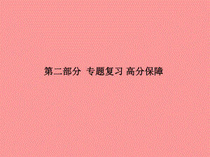 （聊城專）中考化學(xué)總復(fù)習(xí) 第二部分 專題復(fù)習(xí) 高分保障 專題4 科學(xué)探究題課件 魯教