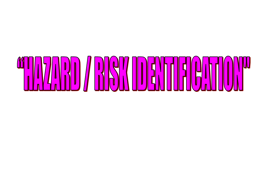 风险评价数危险和风险辨识ENGLISH_第1页