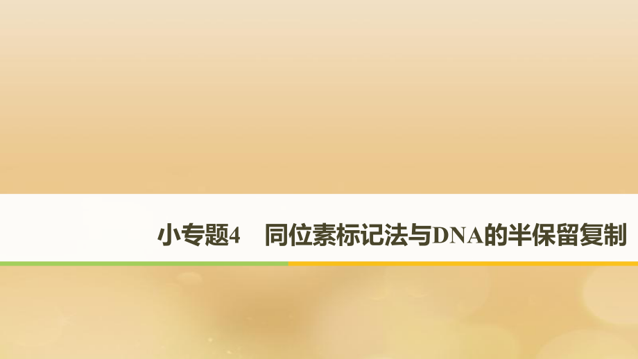 （全國通用）高考生物二輪復(fù)習(xí) 專題四 遺傳的分子基礎(chǔ)、變異與進(jìn)化 小專題4 同位素標(biāo)記法與DNA的半保留復(fù)制課件_第1頁