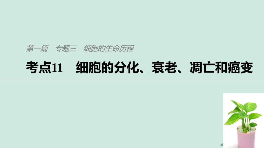 （通用）高考生物二輪復(fù)習(xí) 專題三 細(xì)胞的生命歷程 考點(diǎn)11 細(xì)胞的分化、衰老、凋亡和癌變課件_第1頁