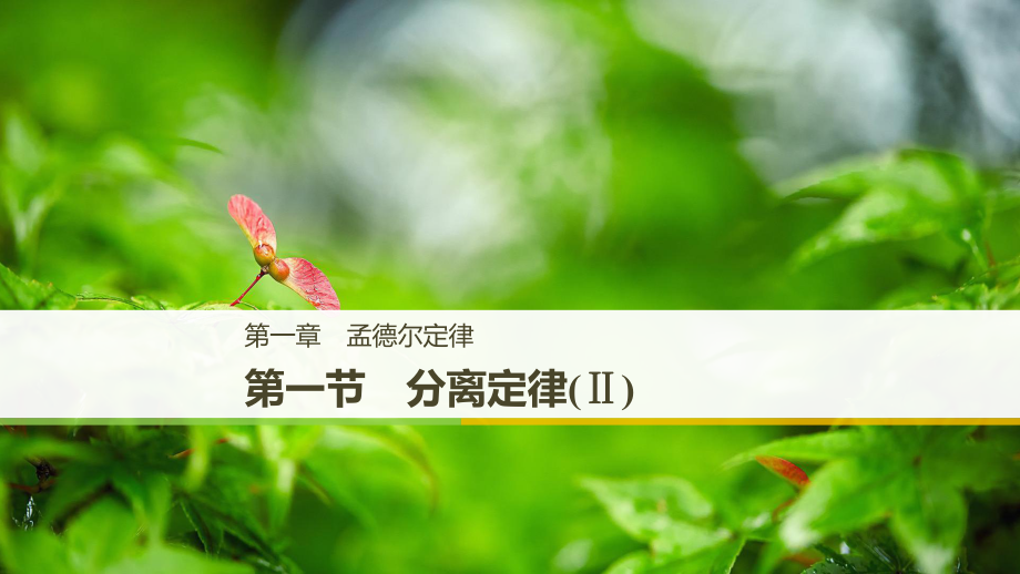 （通用）高中生物 第一章 孟德爾定律 第一節(jié) 分離定律（Ⅱ）課件 浙科必修2_第1頁