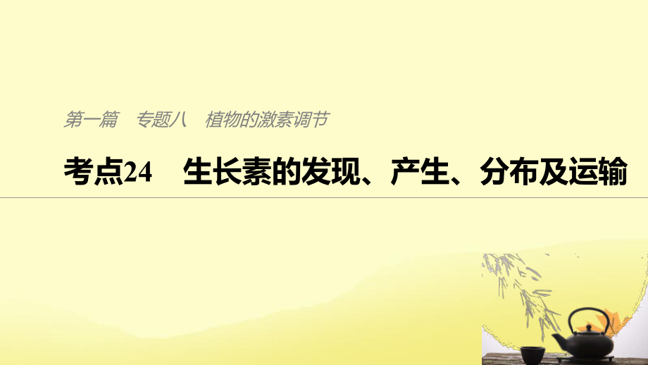 （通用）高考生物二轮复习 专题八 植物的激素调节 考点24 生长素的发现、产生、分布及运输课件_第1页