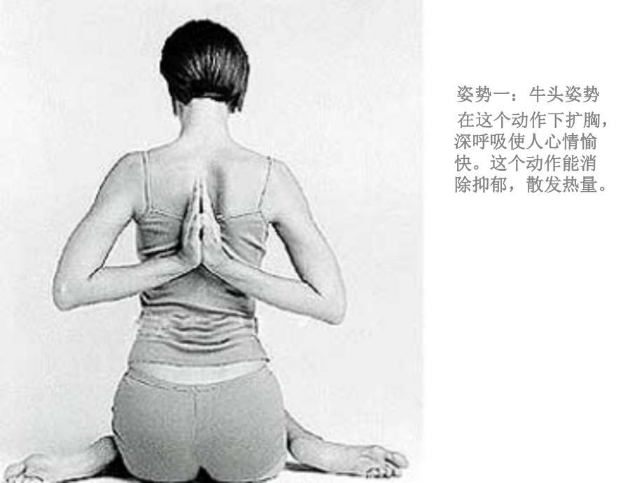 种舒展身体的瑜伽动作_第1页