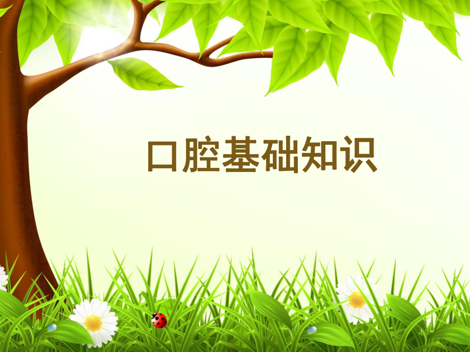 《口腔基礎(chǔ)知識》PPT課件.ppt_第1頁