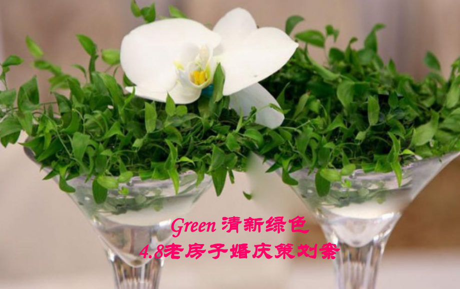 4月Green清新绿色主题小清新婚庆策划案_第1页