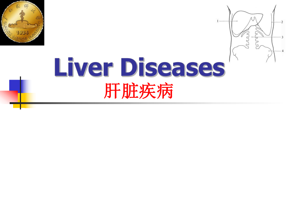 外科學(xué)課件：Liver diseases2016Sep 肝臟疾病_第1頁