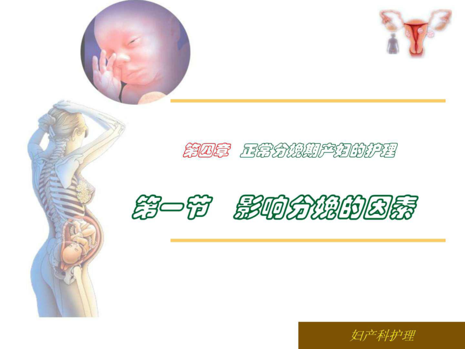 正常分娩期产妇的护理课件_第1页
