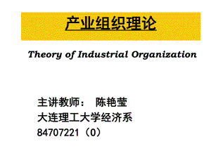 產(chǎn)業(yè)組織理論.ppt