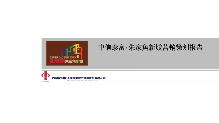 上海中信泰富朱家角新城营销策划报告257p_第1页