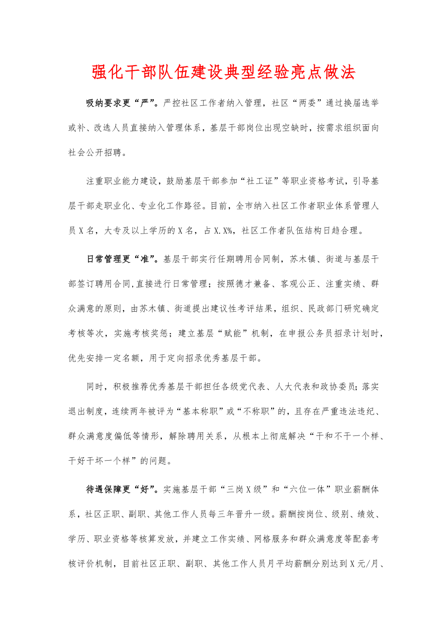 强化干部队伍建设典型经验亮点做法_第1页