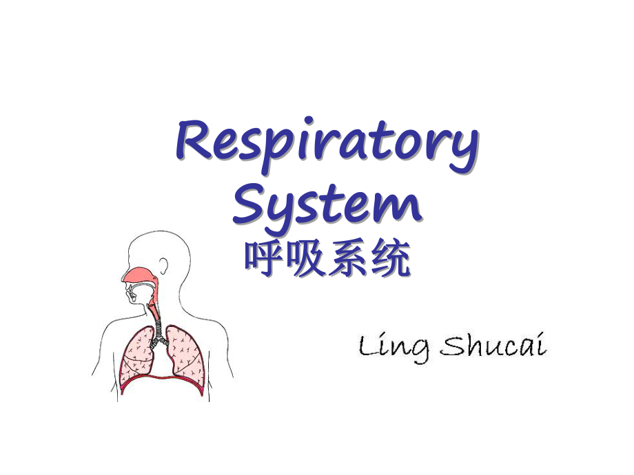 《系统解剖学》课件：5 Respiratory System_第1页