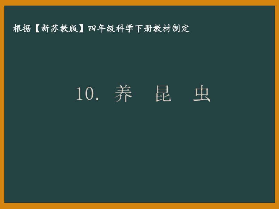 2021揚州新蘇教版四年級科學下冊10.《養(yǎng)昆蟲》課件_第1頁