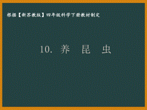 2021揚州新蘇教版四年級科學下冊10.《養(yǎng)昆蟲》課件