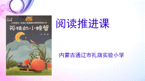 《孤獨的小螃蟹》推進(jìn)課.ppt