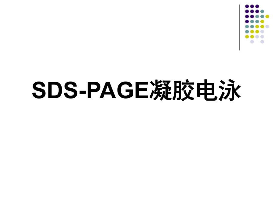 《SDSP-AGE凝膠電泳》PPT課件.ppt_第1頁