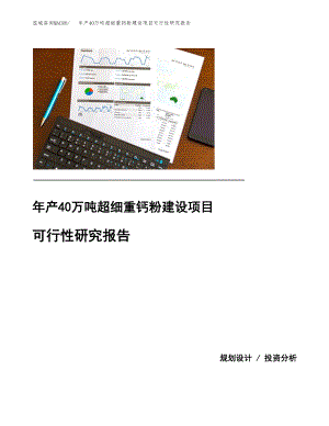 年產(chǎn)40萬噸超細(xì)重鈣粉建設(shè)項(xiàng)目可行性研究報(bào)告.docx