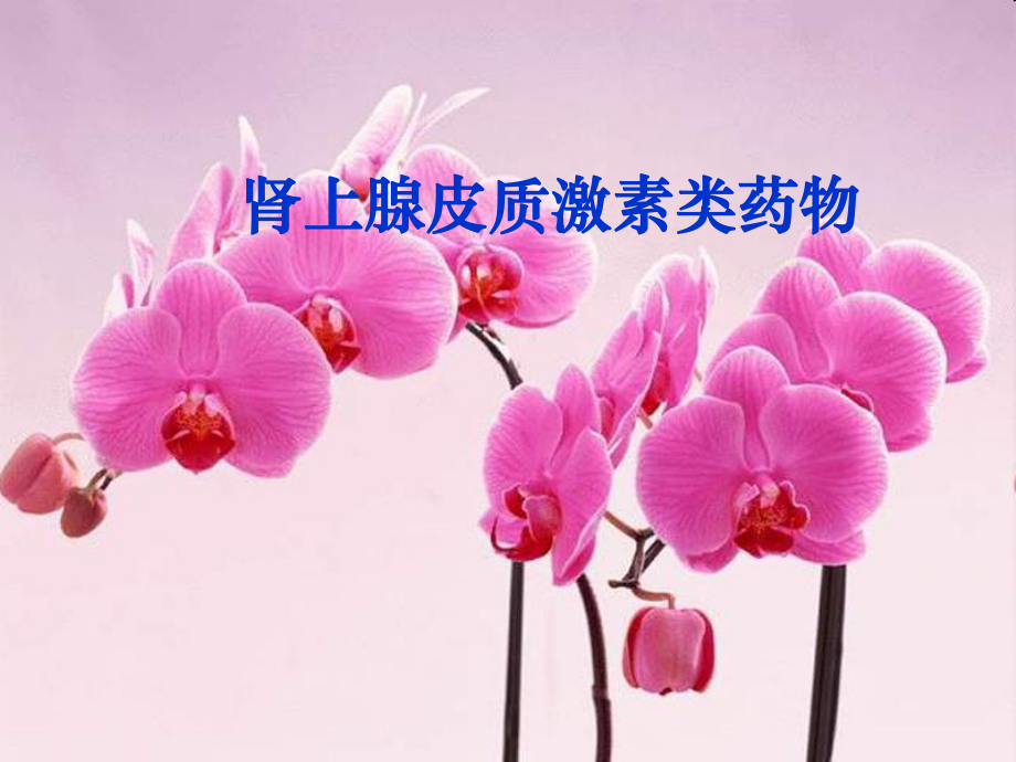 《皮质激素类药物》PPT课件.ppt_第1页