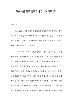 干部任前集體廉政談話會講話（科級干部）