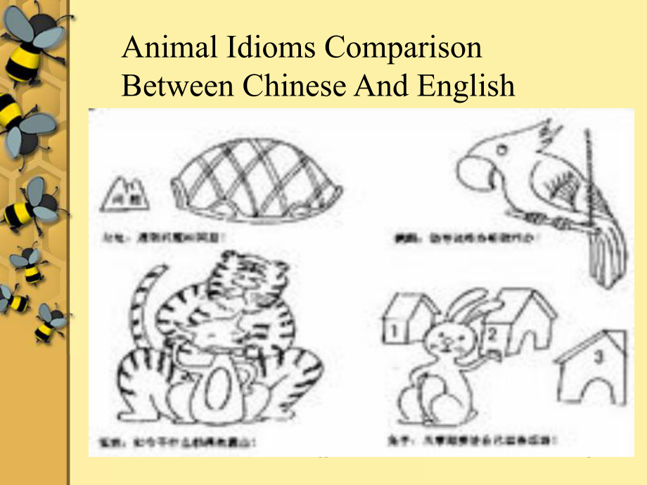 Animal Idioms动物习语.ppt_第1页