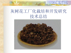 灰樹花工廠化栽培和開發(fā)研究技術(shù)總結(jié)