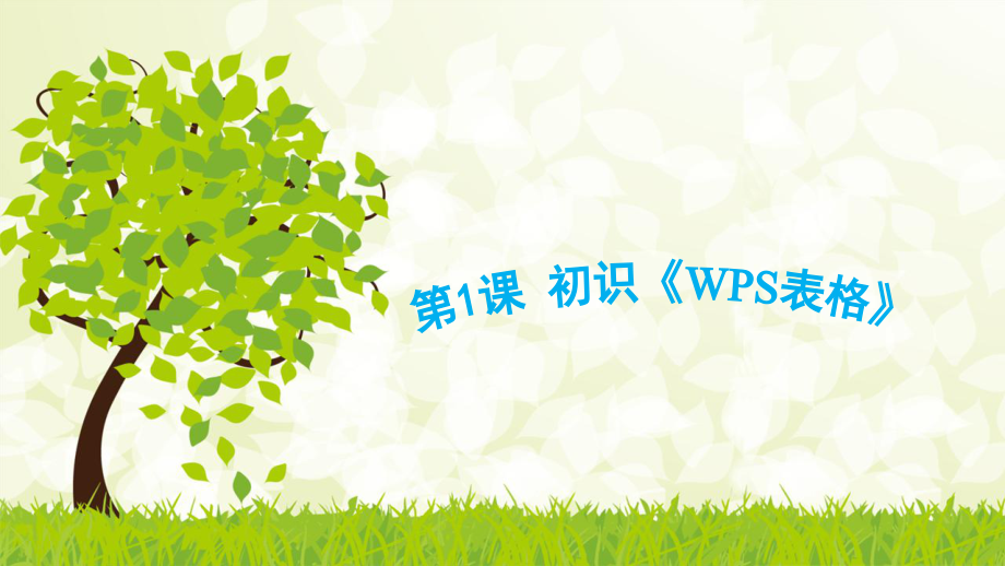 《初识《wps表格》》__（青岛版五年级下册信息技术ppt）ppt课件_第1页