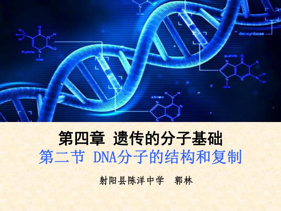 2017dna的復制ppt課件_第1頁