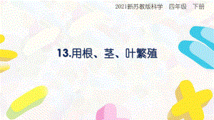 2021揚州新蘇教版四年級科學下冊13.《用根、莖、葉繁殖》課件