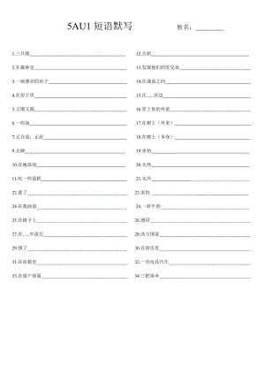 譯林版五年級英語上冊短語默寫檢測.doc