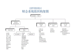 某公司財務(wù)會計系統(tǒng)組織架構(gòu)及崗位職責(zé)