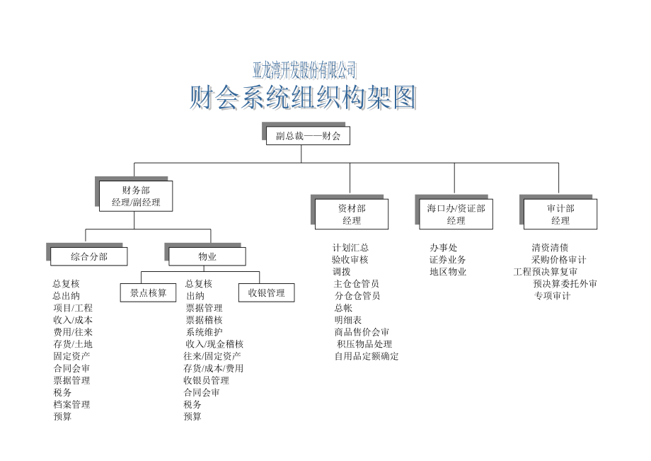 某公司財務(wù)會計系統(tǒng)組織架構(gòu)及崗位職責(zé)_第1頁