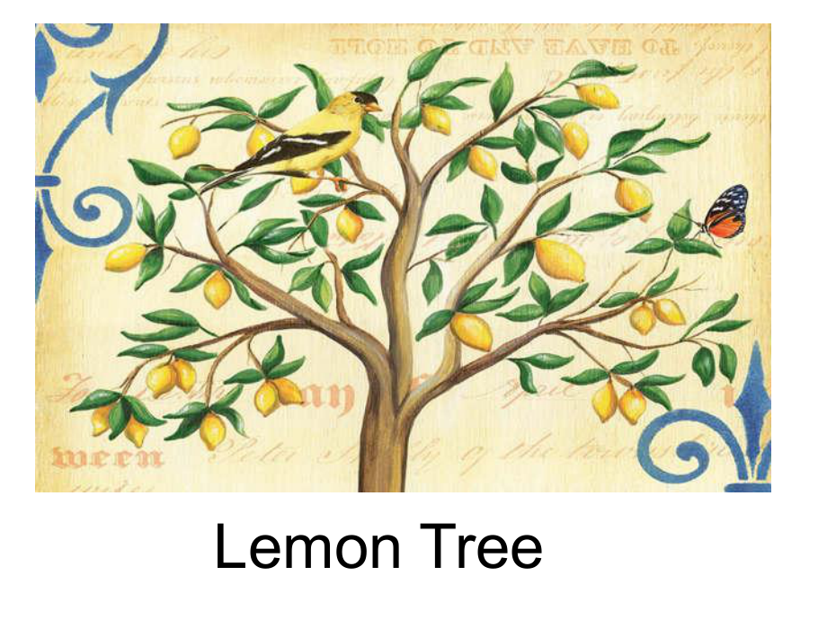 lemon treeppt課件_第1頁(yè)