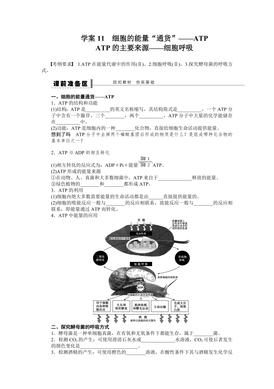 第三单元 学案11 细胞的能量_第1页