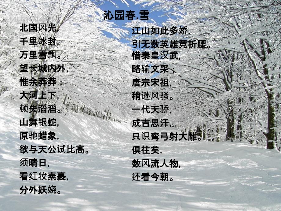 江南的冬景课件_第1页
