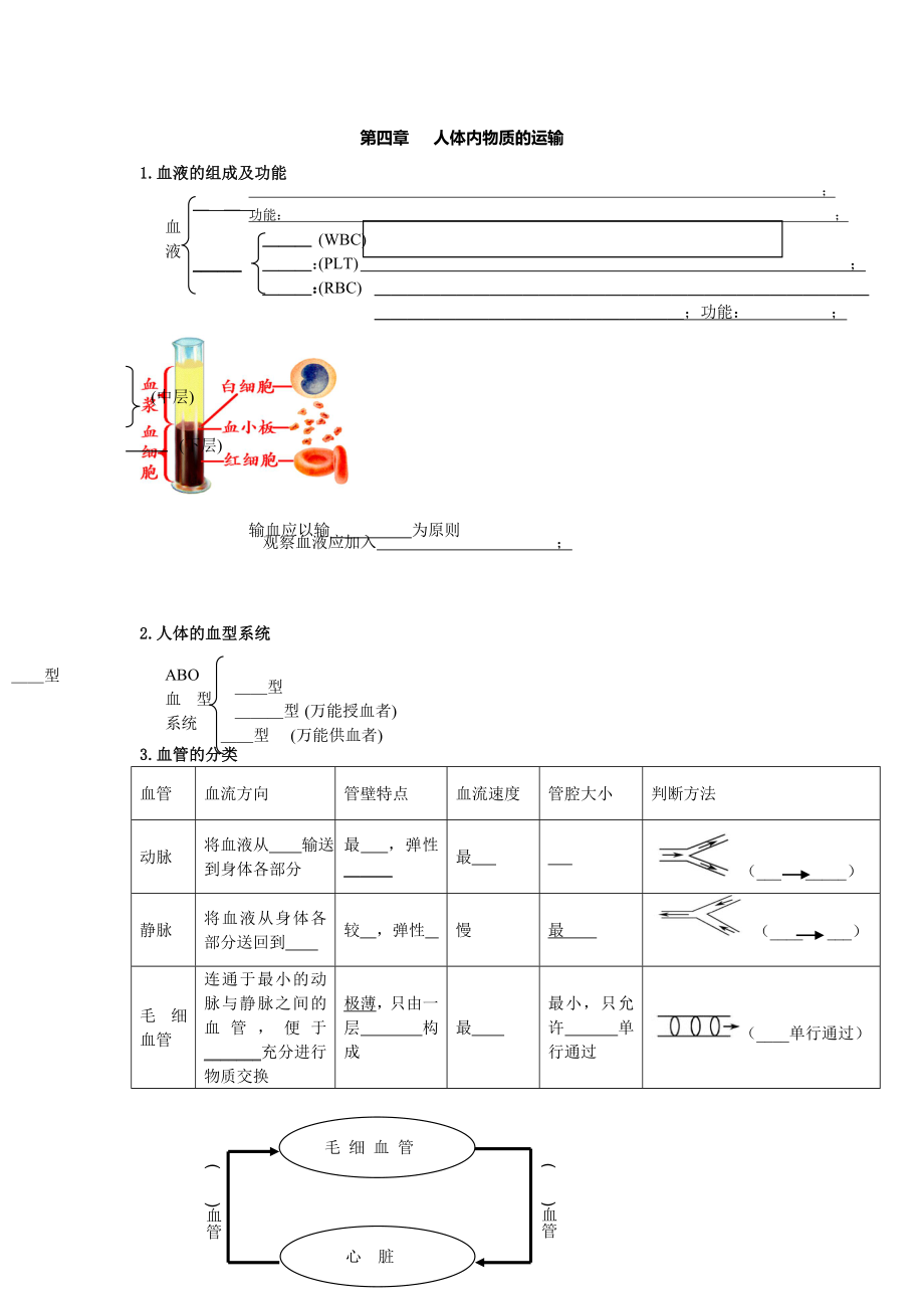 《第四章人體內(nèi)物質(zhì)的運(yùn)輸》知識(shí)點(diǎn)總結(jié)_第1頁(yè)