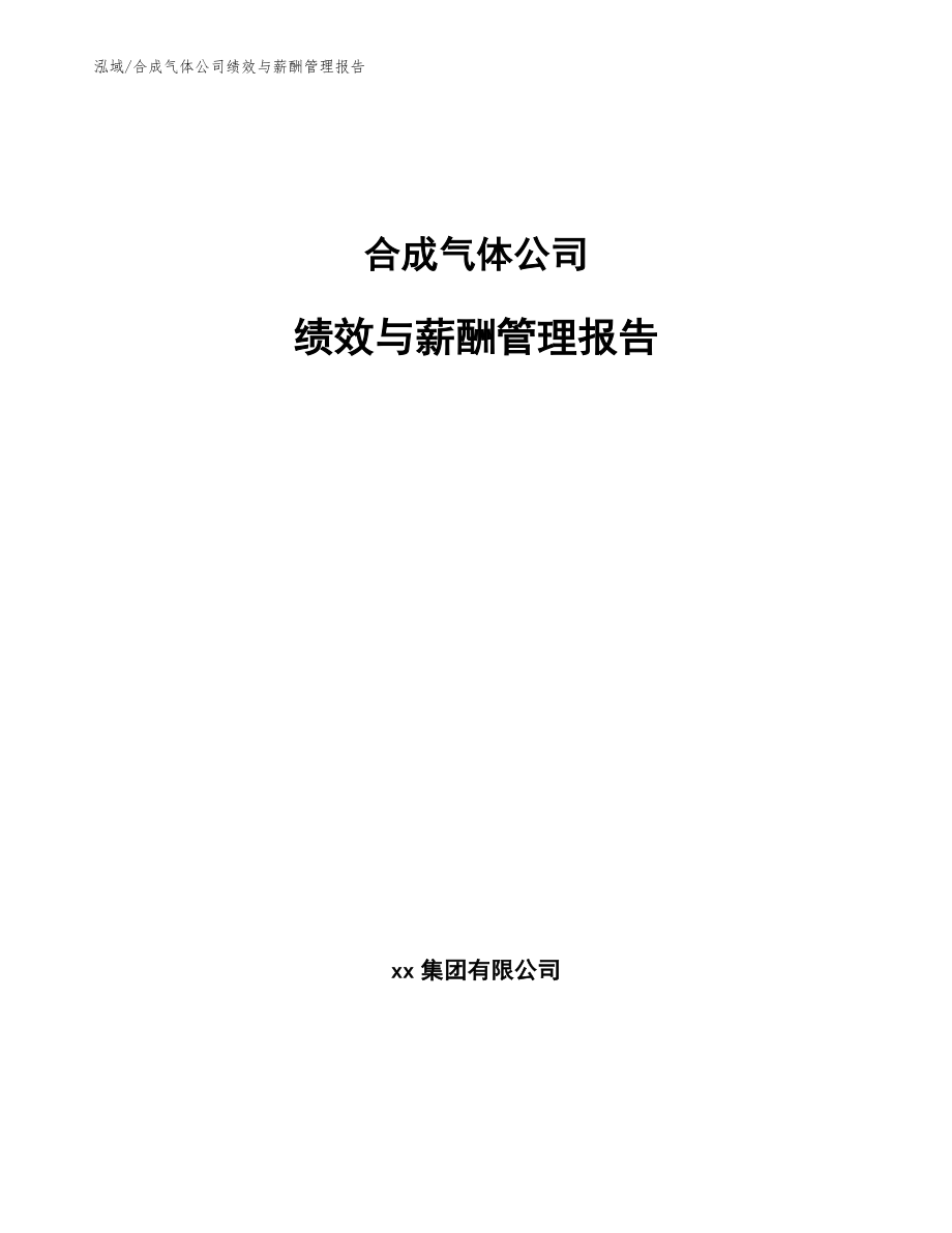 合成气体公司绩效与薪酬管理报告_第1页