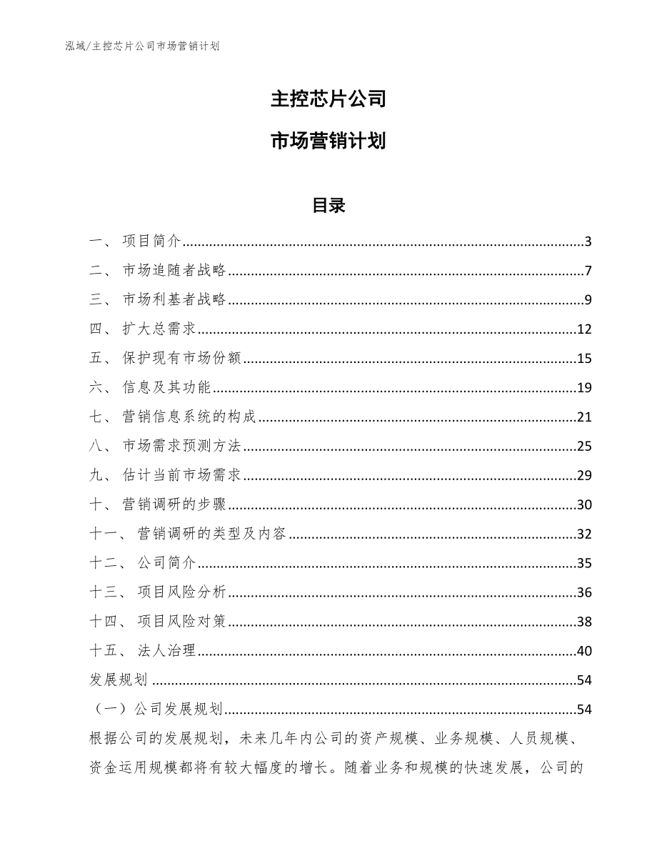 主控芯片公司市场营销计划_参考_第1页