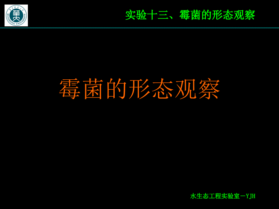 实验十三、霉菌形态观察_第1页