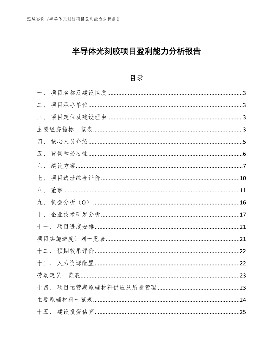 半导体光刻胶项目盈利能力分析报告_第1页