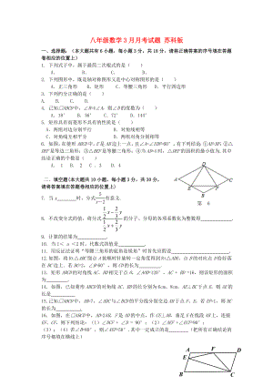 八年級數(shù)學(xué)3月月考試題 蘇科版