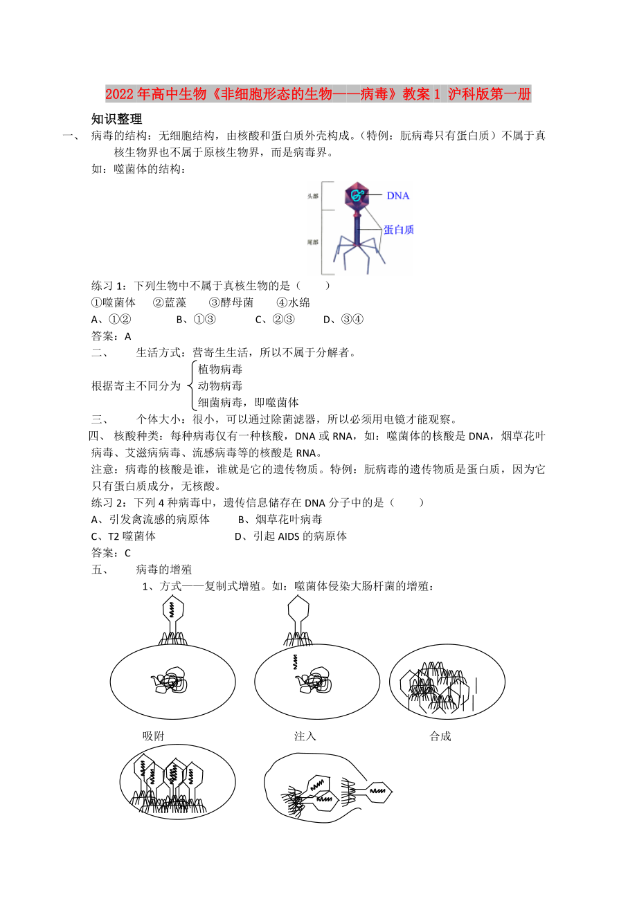 2022年高中生物《非细胞形态的生物——病毒》教案1 沪科版第一册_第1页