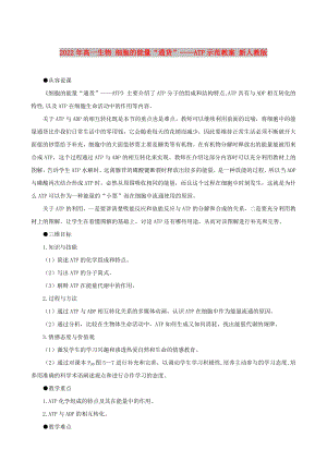 2022年高一生物 細(xì)胞的能量“通貨”——ATP示范教案 新人教版