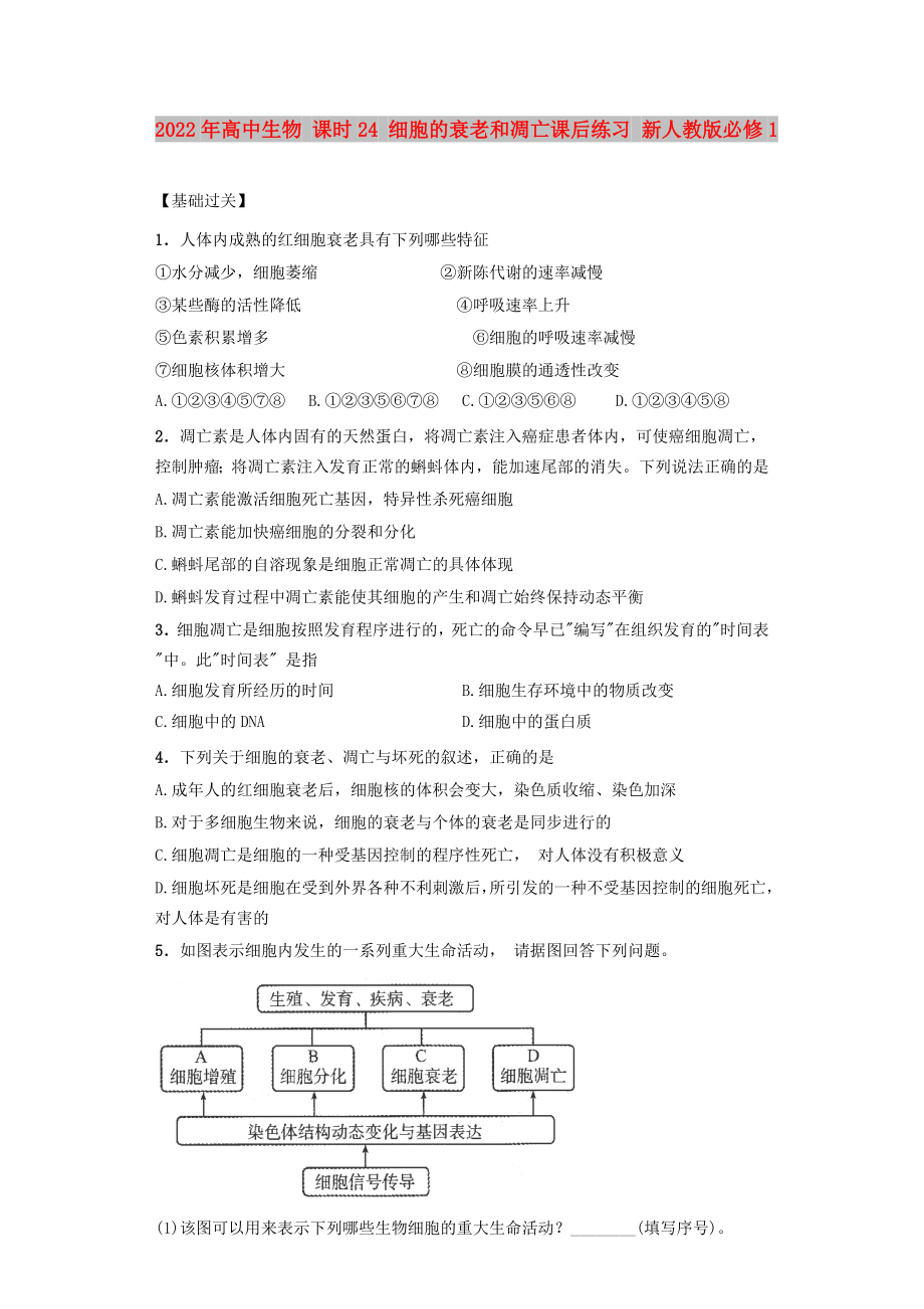 2022年高中生物 課時(shí)24 細(xì)胞的衰老和凋亡課后練習(xí) 新人教版必修1_第1頁