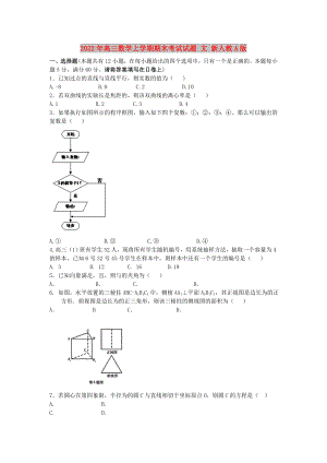 2022年高三數(shù)學(xué)上學(xué)期期末考試試題 文 新人教A版