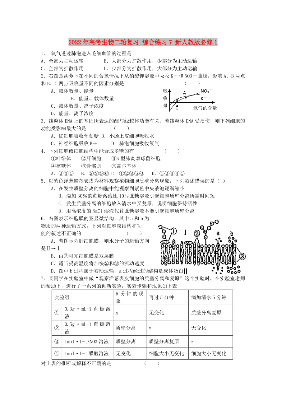 2022年高考生物二輪復(fù)習(xí) 綜合練習(xí)7 新人教版必修1_第1頁(yè)